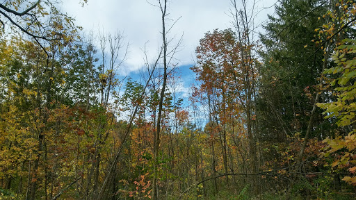 Nature Preserve «Scio Woods Preserve», reviews and photos, Scio Church Rd, Ann Arbor, MI 48103, USA