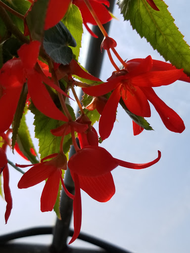 Pet Supply Store «Better Buys», reviews and photos, 3622 N Broadway Ave, Muncie, IN 47303, USA