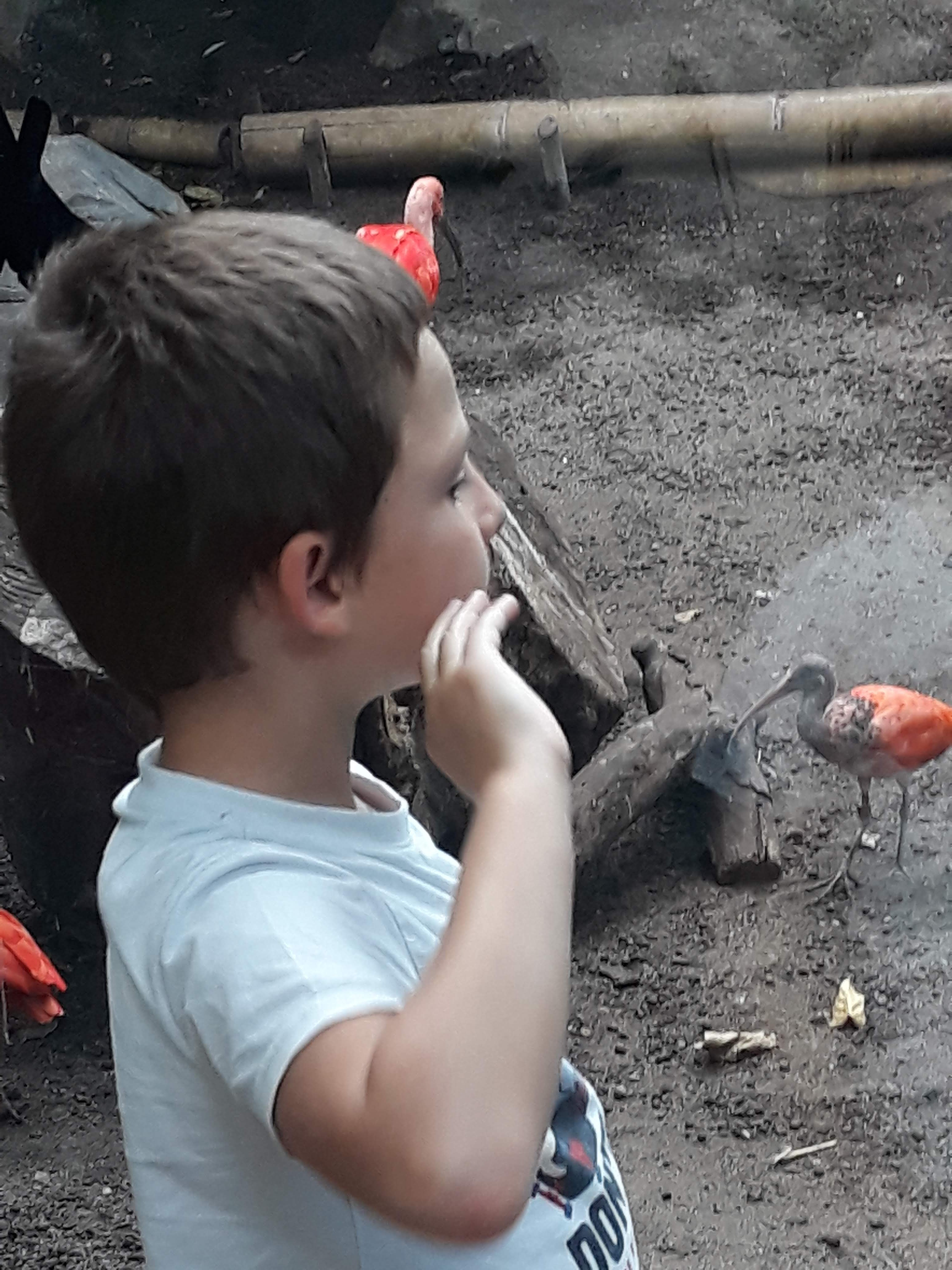 Photo n° 13 de l'avis de Ludo.a fait le 30/08/2021 à 17:15