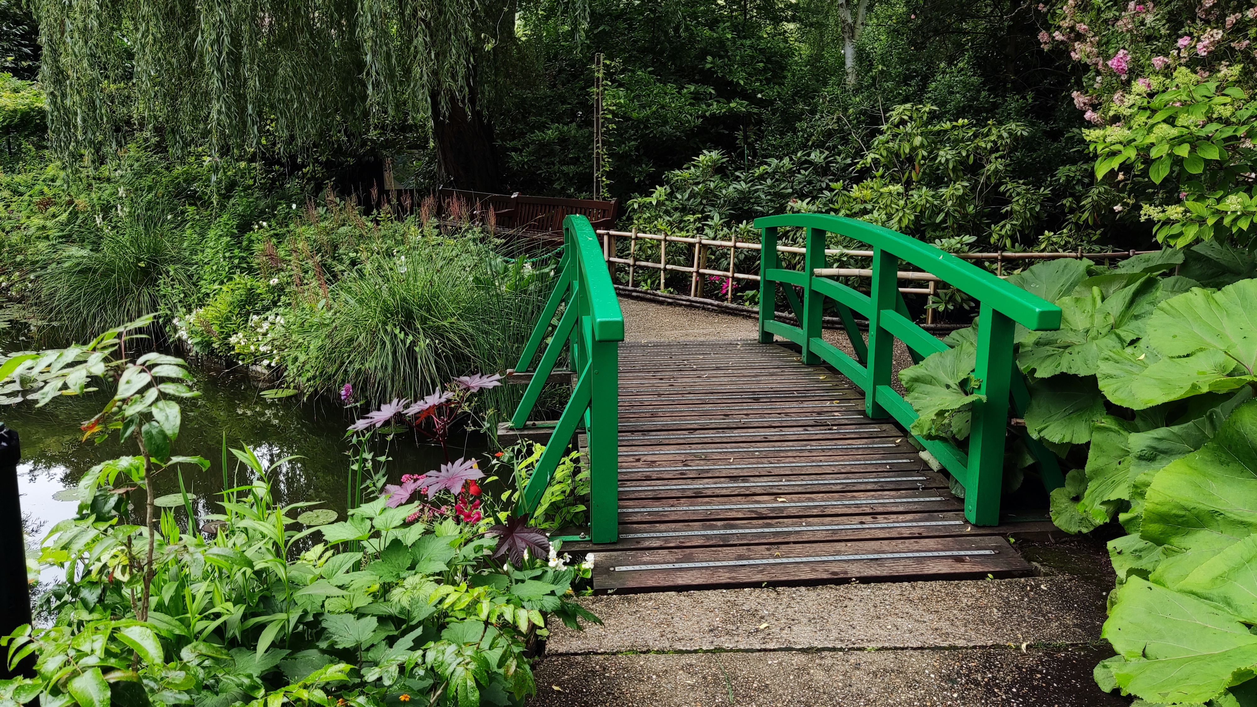 Photo n° 1 de l'avis de Cédric. fait le 03/07/2021 à 14:39