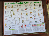 Gaststätte Kuhbergbaude à Netzschkau carte