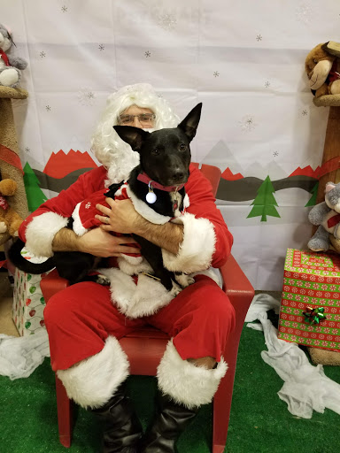 Pet Supply Store «PetSmart», reviews and photos, 1130 SE Everett Mall Way, Everett, WA 98208, USA