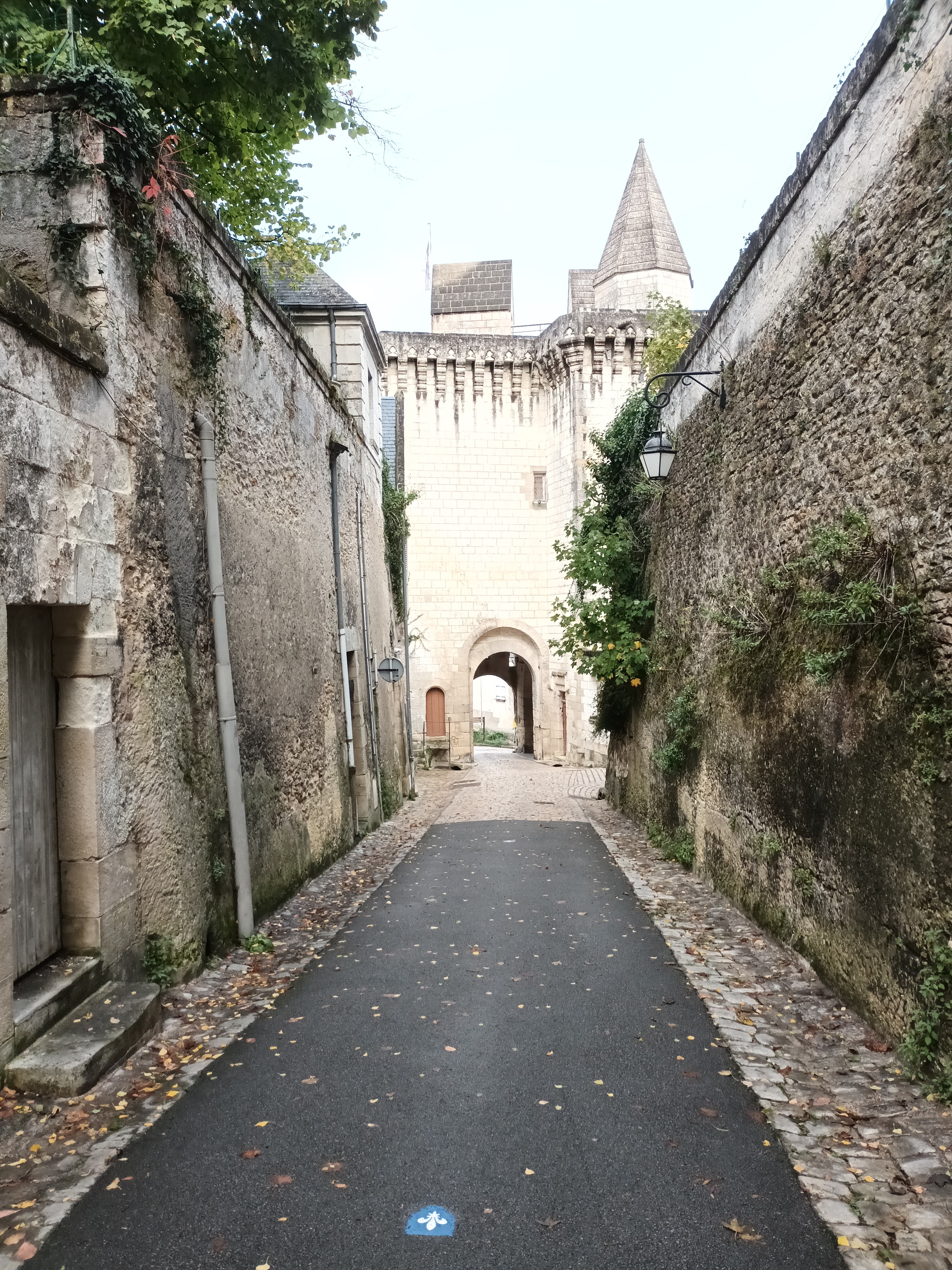 Photo n° 44 de l'avis de Bruno.u fait le 05/11/2023 à 20:45