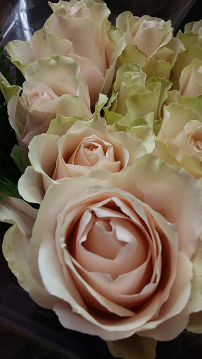 Grocery Store «Giant Food Stores», reviews and photos, 1465 W Broad St, Quakertown, PA 18951, USA