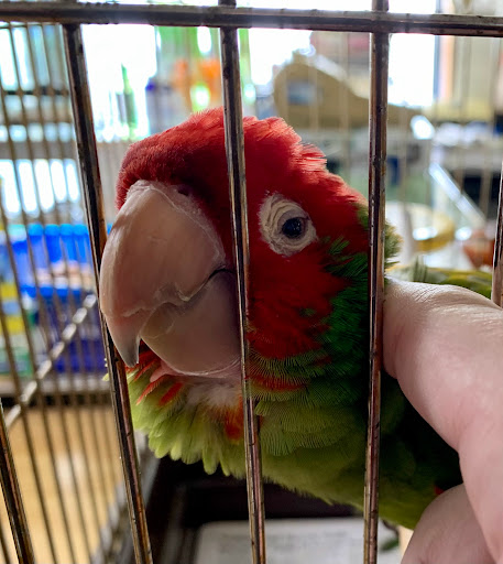 Pet Store «Mike Pet Center LLC», reviews and photos, 133 NJ-35, Neptune City, NJ 07753, USA