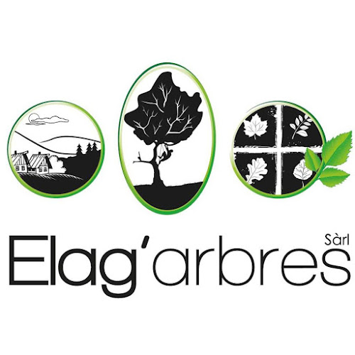 Rezensionen über Elag'arbres Sàrl in Monthey - Gartenbauer