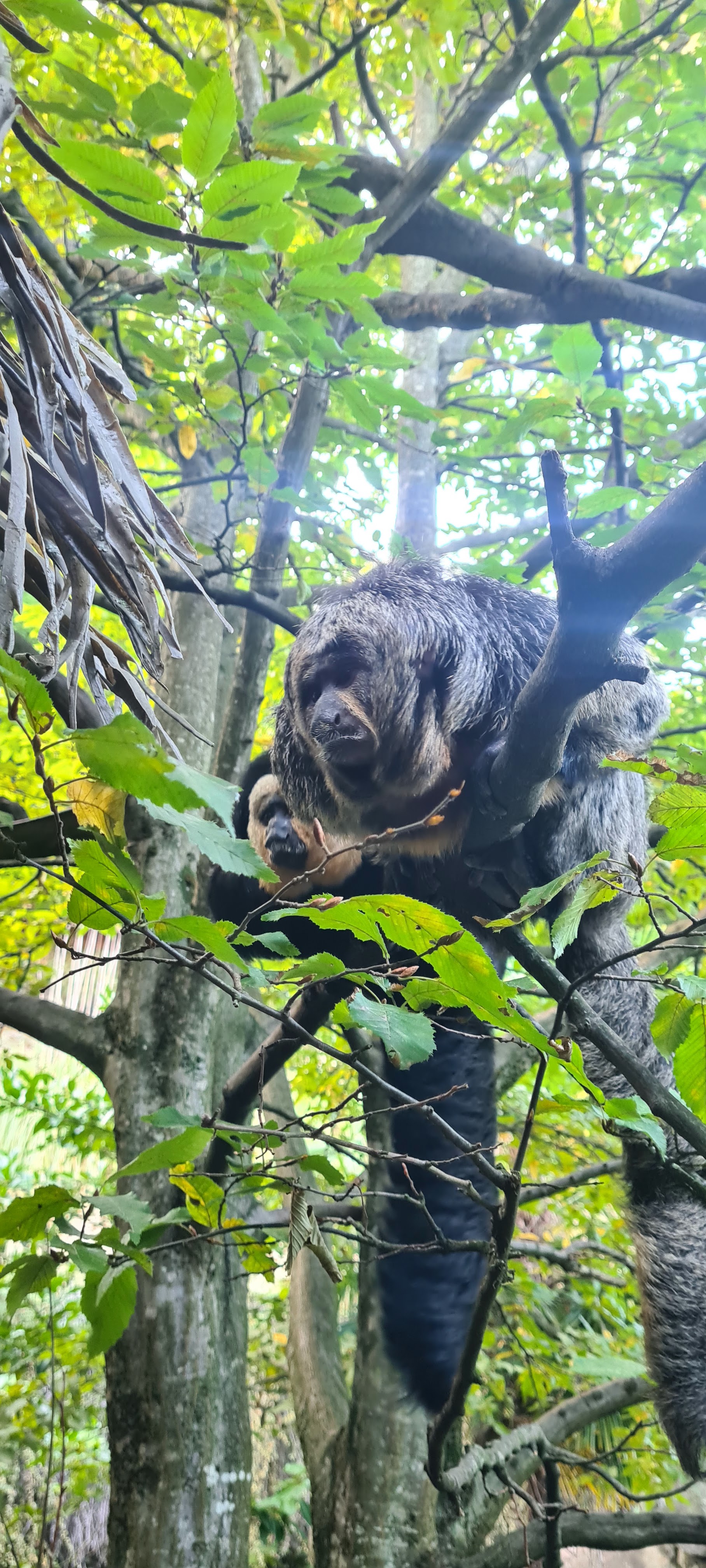 Photo n° 3 de l'avis de Jacky.r fait le 18/09/2022 à 05:13