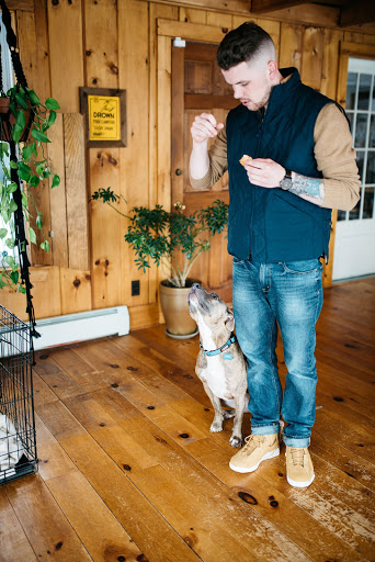 Animal Shelter «Coastal Humane Society», reviews and photos