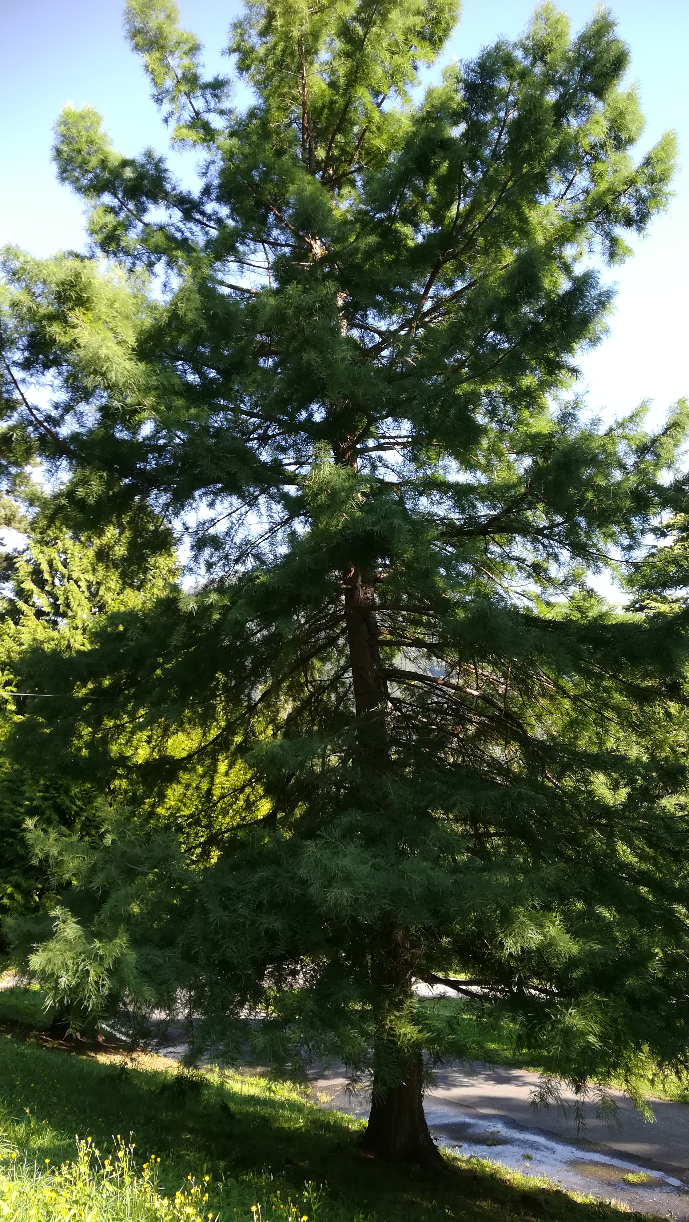 Photo n° 5 de l'avis de NOUNOU.7 fait le 01/09/2019 à 13:27