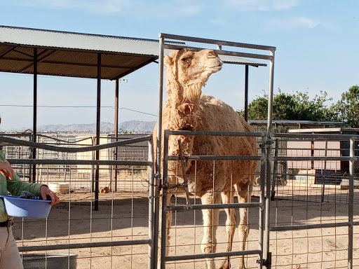 Hesperia Zoo By reservation only