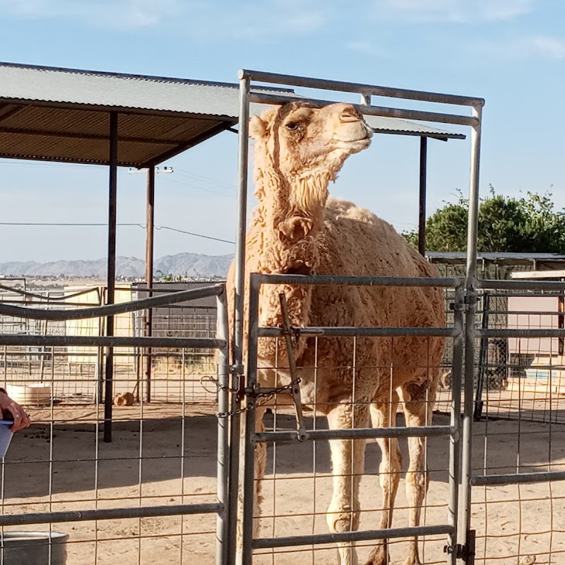 Hesperia Zoo By reservation only