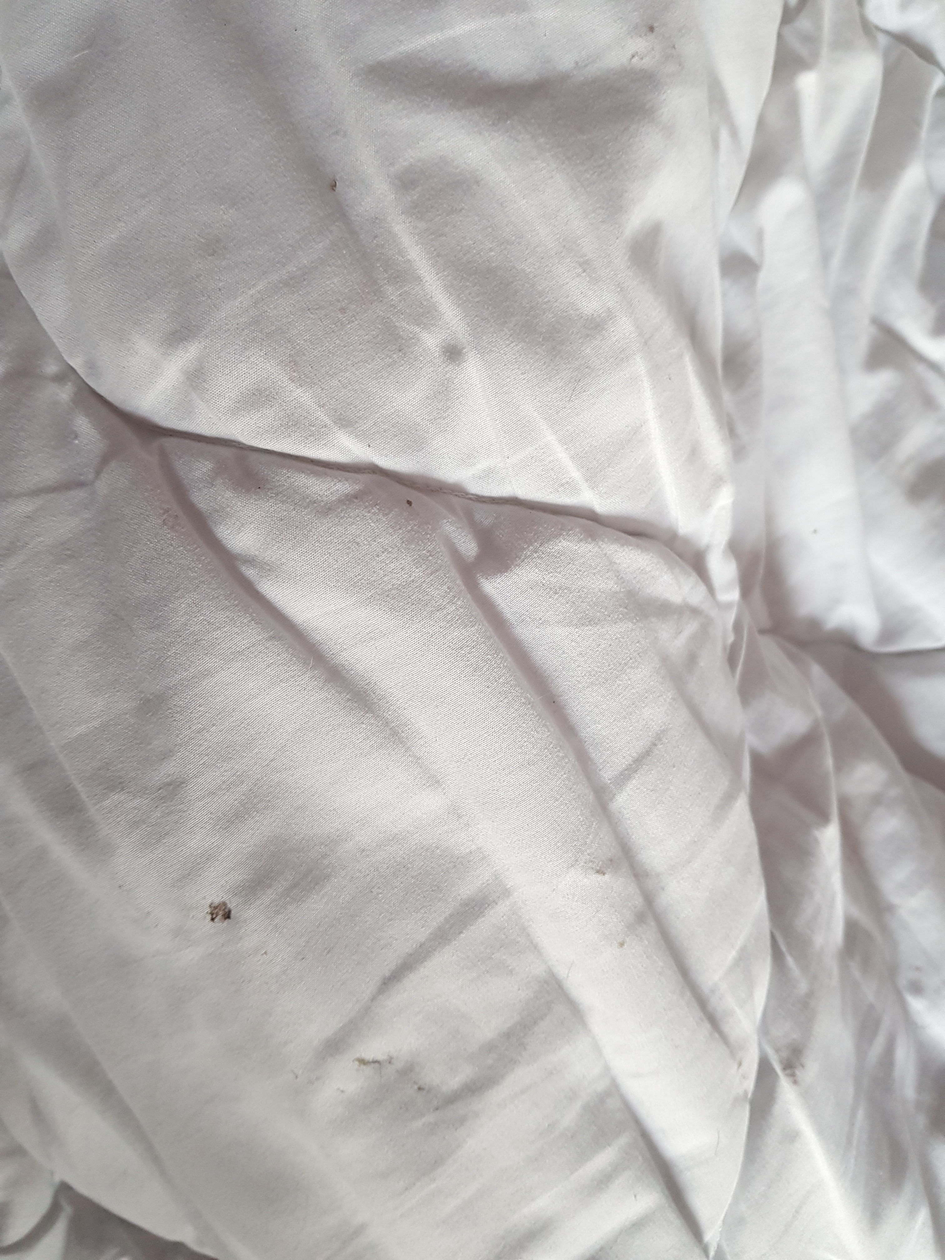 Photo n° 3 de l'avis de Jimmy.o fait le 01/08/2019 à 19:48