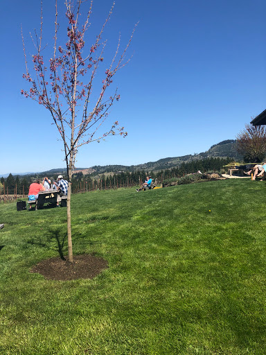 Winery «Eminent Domaine», reviews and photos, 20875 NE Ribbon Ridge Rd, Newberg, OR 97132, USA
