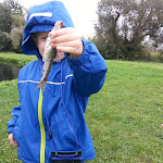 Photo n°2 de l'avis de Victoria.a fait le 14/03/2018 à 06:02 sur le  Forellenhof „Paschlewwer Freizeit- & Ferienhof“ à Osternienburger Land