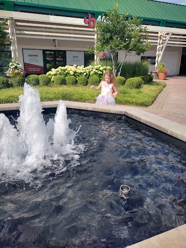 Shopping Mall «The Mall At Lexington Green», reviews and photos, 161 Lexington Green Cir, Lexington, KY 40503, USA