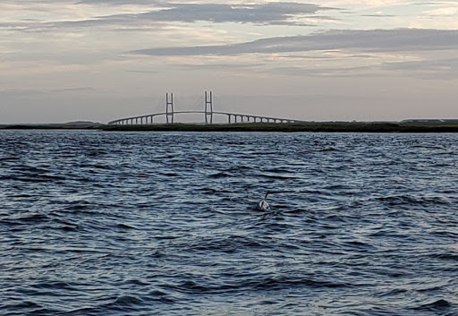 Tourist Attraction «Lighthouse Trolleys», reviews and photos, 559 Magnolia Ave, Saint Simons Island, GA 31522, USA