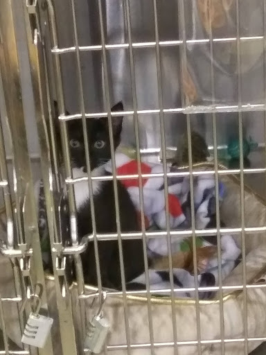 Pet Supply Store «PetSmart», reviews and photos, 2201 Gallatin Pike N, Madison, TN 37115, USA