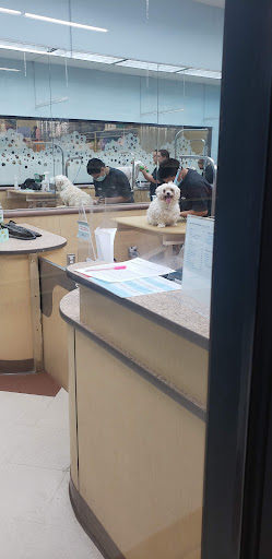 Pet Supply Store «PetSmart», reviews and photos, 3630 Peachtree Pkwy, Suwanee, GA 30024, USA