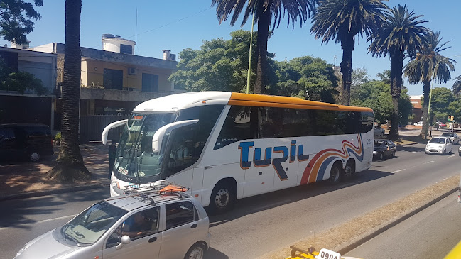 Opiniones de Turil Sub Agencia Cordon en Las Piedras - Servicio de transporte