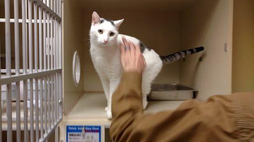 Pet Supply Store «Petco Animal Supplies», reviews and photos, 2255 East Ridge Road, Irondequoit, NY 14622, USA