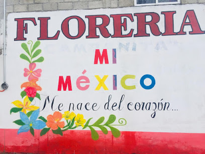 Floreria 'Mi México'