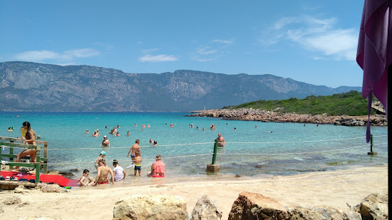 Kleopatra Plajı