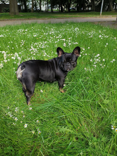 TRIO-VET - Weterynarz