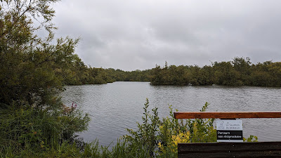 Étang Fédéral de Brimeux à Brimeux