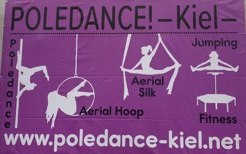Poledance! -Kiel- Aerial & Fitness GmbH image