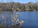 Jansen Park LLC