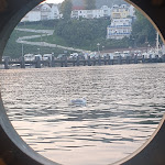 Photo n°2 de l'avis de Robert.o fait le 22/09/2020 à 19:08 sur le  Gaststättenschiff - „MS Manfred“ à Sassnitz