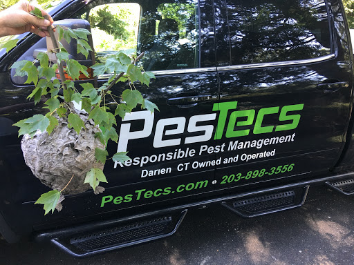 PesTecs