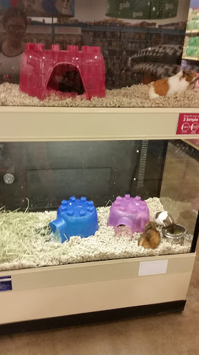Pet Supply Store «PetSmart», reviews and photos, 3211 Peoples St, Johnson City, TN 37604, USA