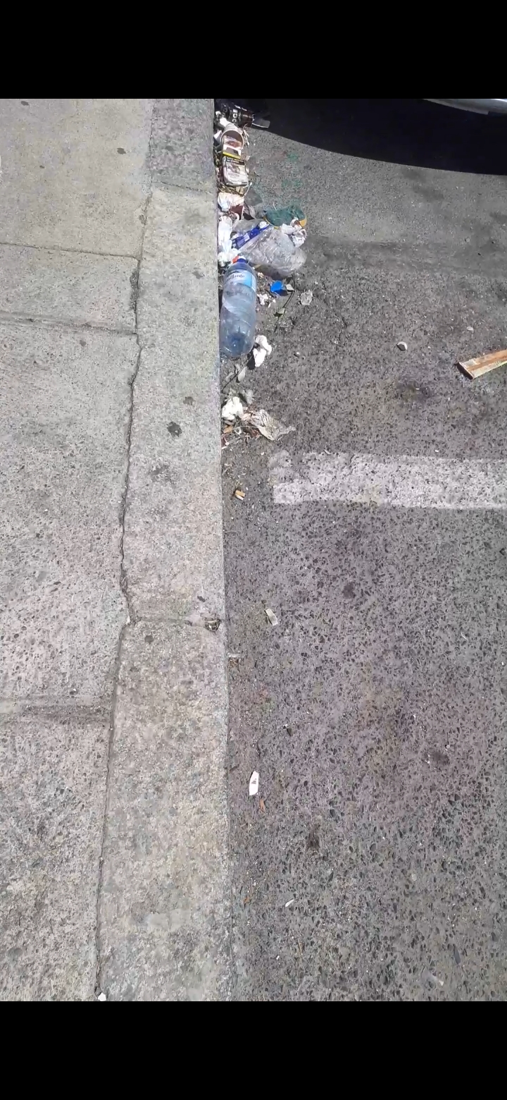 Photo n° 3 de l'avis de Noé.i fait le 06/08/2023 à 11:58