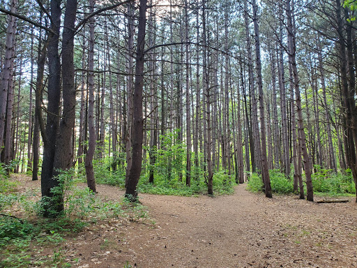 Off roading area Grand Rapids