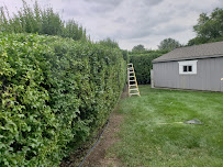 Precision Core Property Maintenance LLC Lawn, Landscaping & Snow Removal - Photo 9 - Car repair in Garden City, MI, Dearborn