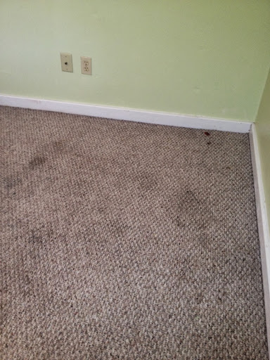 Carpet Cleaning Service «Able Janitorial & Carpet Services - Carpet Cleaning Longview, Tx», reviews and photos, 5734 TX-300 #15, Longview, TX 75604, USA