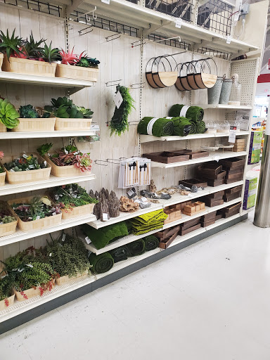 Craft Store «Michaels», reviews and photos, 1115 Vidina Pl Ste 145, Oviedo, FL 32765, USA