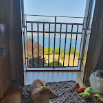 Photo n°1 de l'avis de koen.o fait le 06/09/2021 à 14:53 sur le  Albergo Sole S.A.S à San Zeno di Montagna