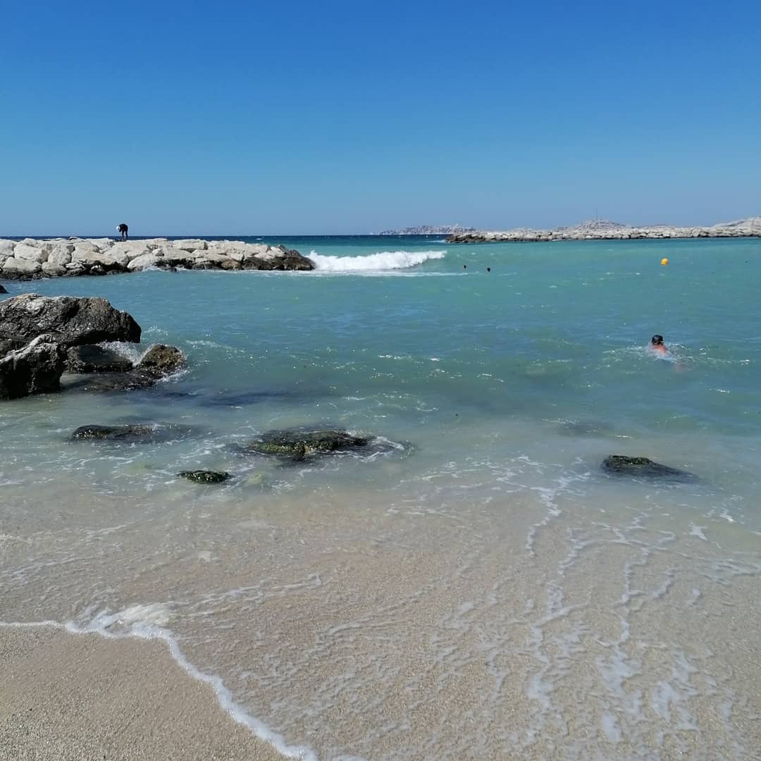Photo n° 2 de l'avis de Paraiso.i fait le 31/01/2022 à 17:17