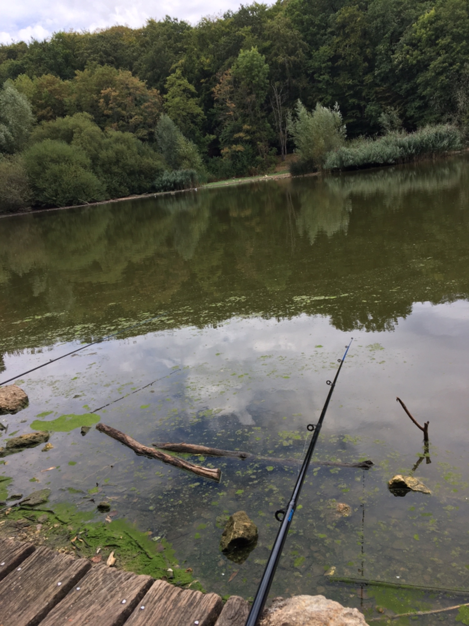 Photo n° 4 de l'avis de Daniel.e fait le 21/08/2020 à 00:29
