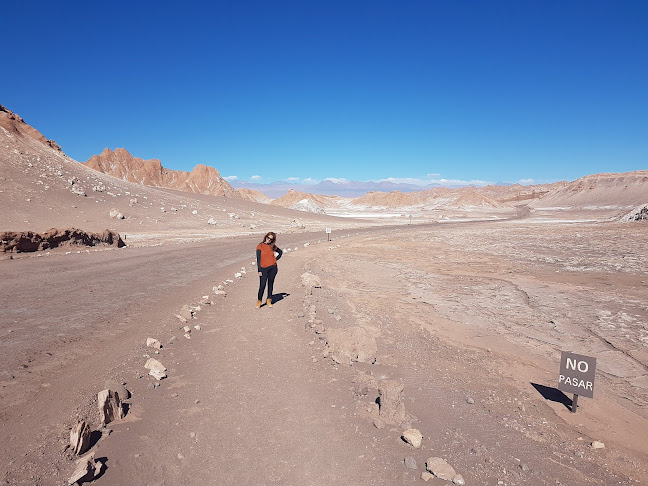 Horarios de Araya Atacama