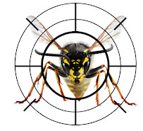 Ontiveros Pest Solution - Photo 7 - Car repair in , Modesto