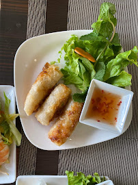 Rouleau de printemps du Restaurant vietnamien MAISON VIET à Ivry-sur-Seine - n°2