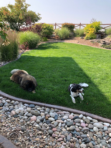 Golf Course «Legacy Ridge Golf Course», reviews and photos, 10801 Legacy Ridge Pkwy, Westminster, CO 80031, USA