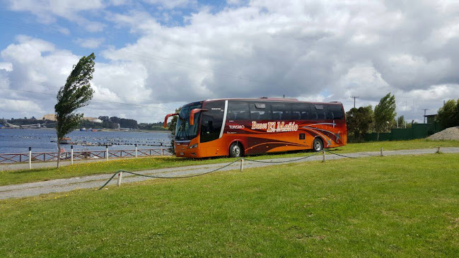 Opiniones de Buses El Mañio en Puerto Montt - Servicio de transporte