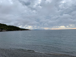 Worthington Bay'in fotoğrafı vahşi alan