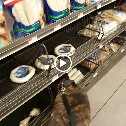 Pet Supply Store «Pet Supplies Plus», reviews and photos, 421 Green Springs Hwy Ste, Homewood, AL 35209, USA