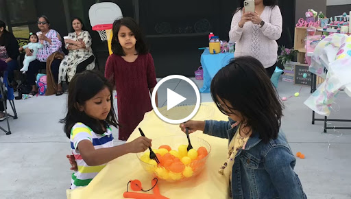 Tobacco Shop «1 Stop Smoke Shop», reviews and photos, 10821 N 56th St, Temple Terrace, FL 33617, USA