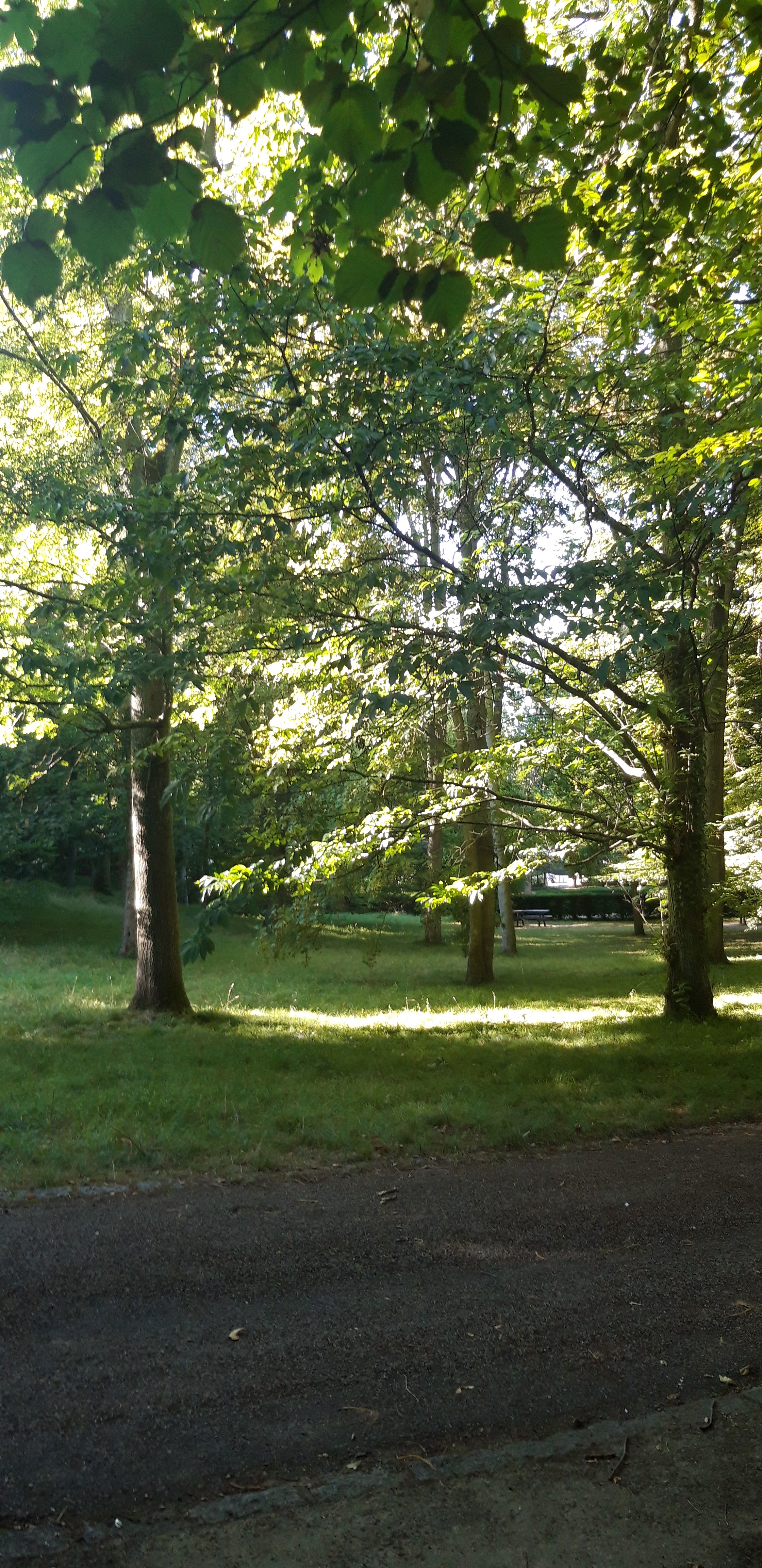 Photo n° 2 de l'avis de Sophie.h fait le 29/07/2020 à 20:52